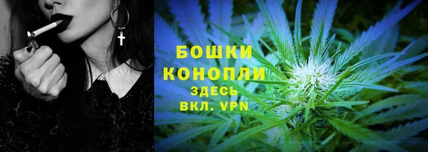тгк Бородино