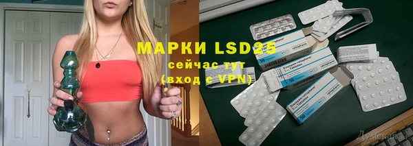 тгк Бородино