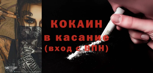 тгк Бородино