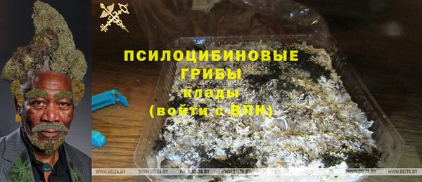 спиды Бугульма