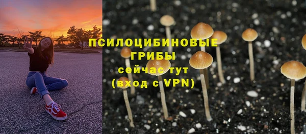 тгк Бородино
